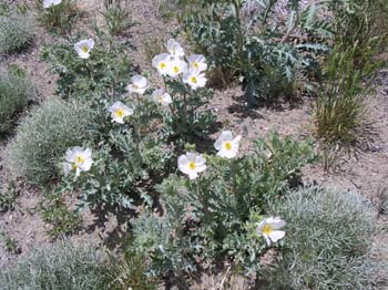 DSCN0087