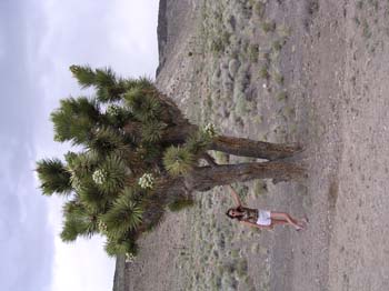 DSCN0094