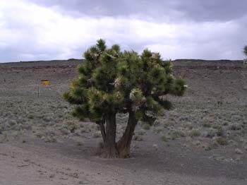 DSCN0095