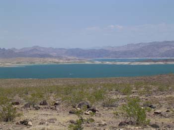 DSCN0110