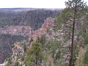 DSCN0195