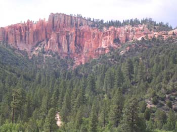 DSCN0196