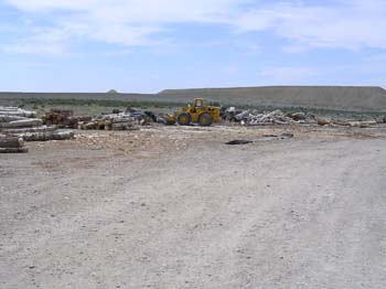 DSCN0205