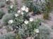 DSCN0087