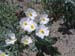 DSCN0088