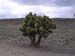 DSCN0095